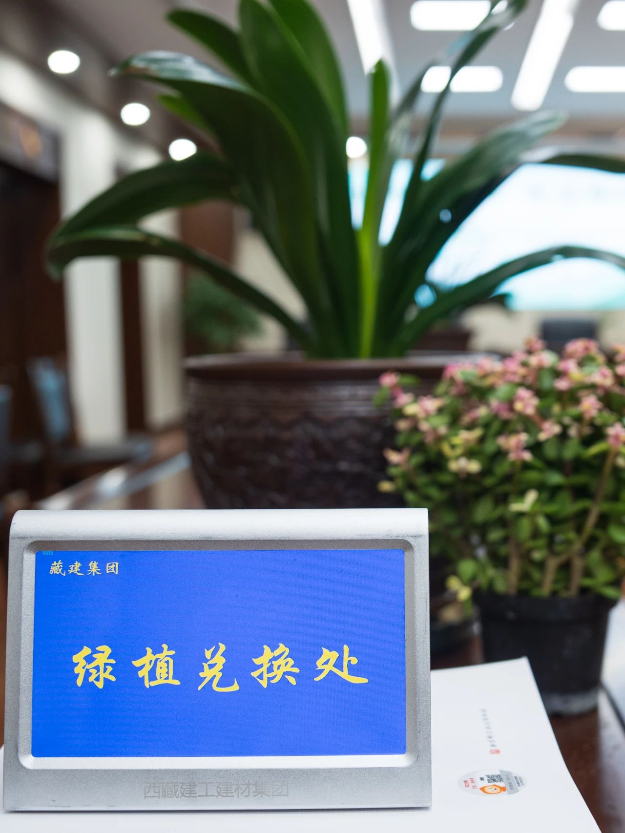 116381416527362727951479780 多宝电竞·(中国区)官方网站