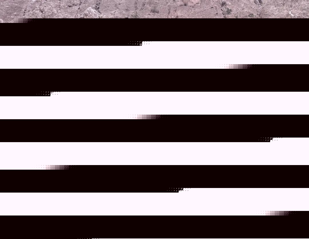 640.jpg